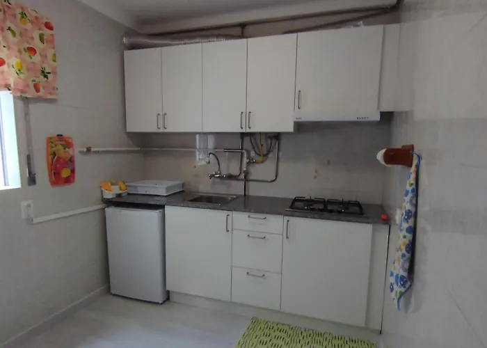 Avos-belise * 纳扎雷